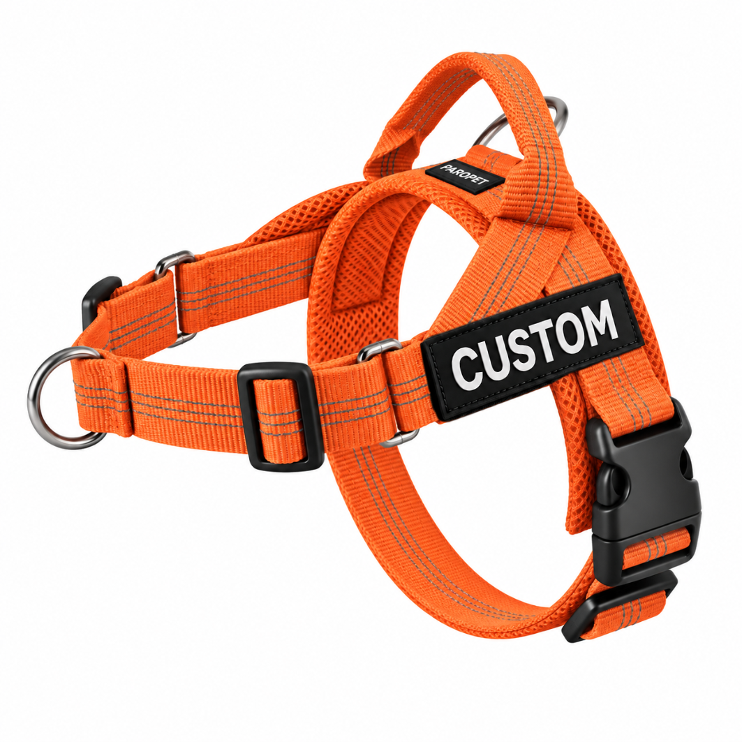 orangeharness