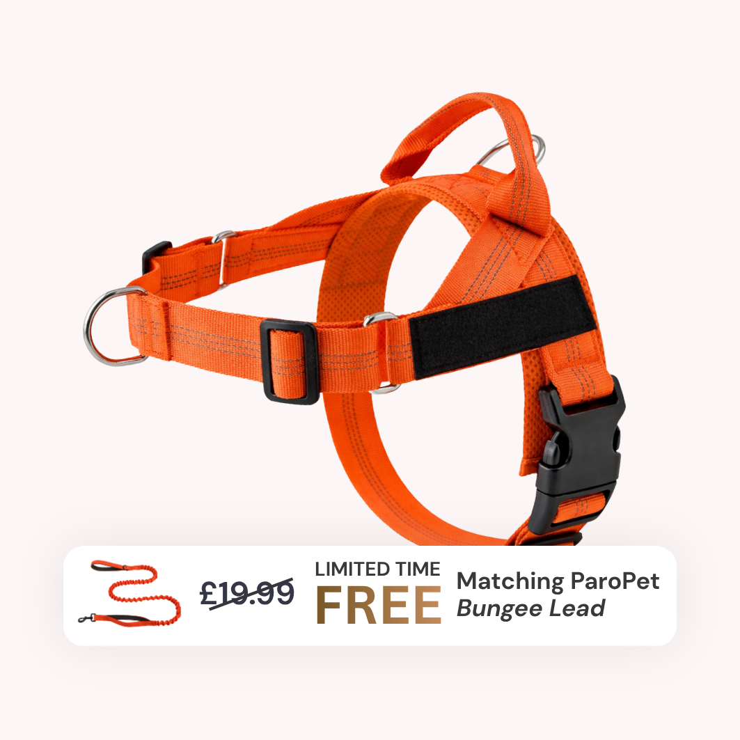 Extra No-Pull Harness