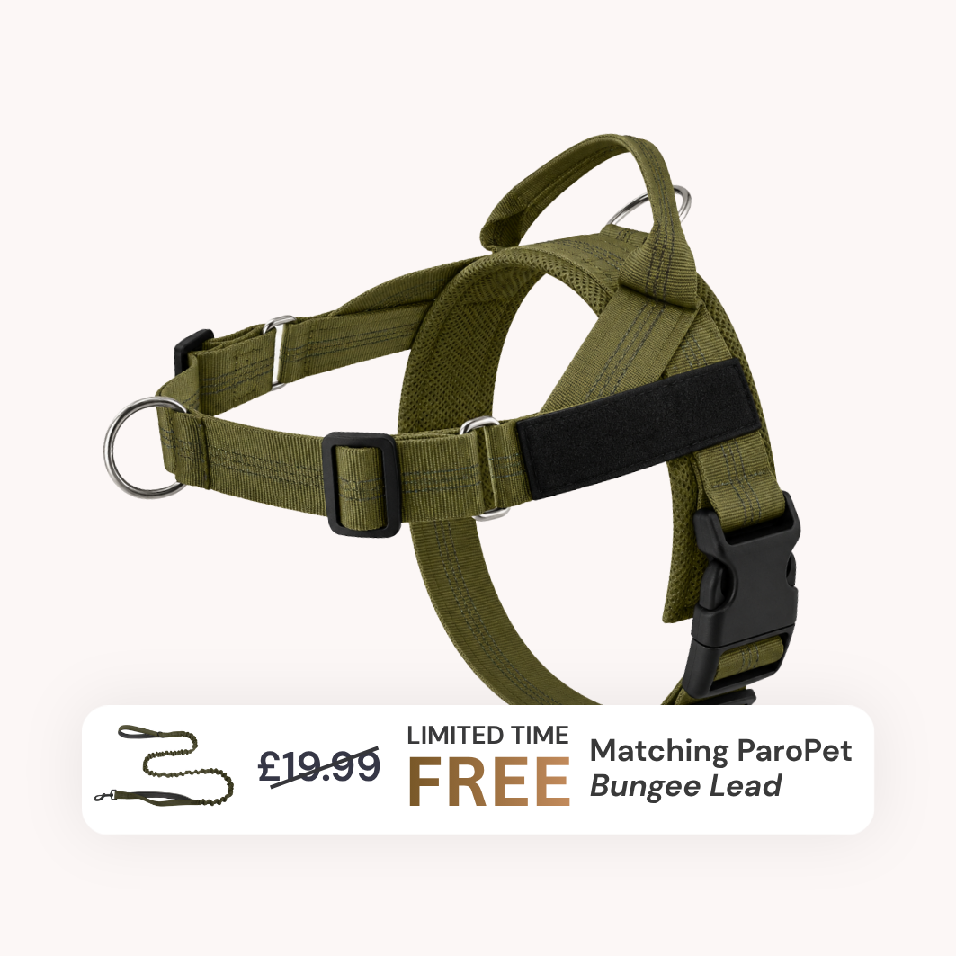 Extra No-Pull Harness