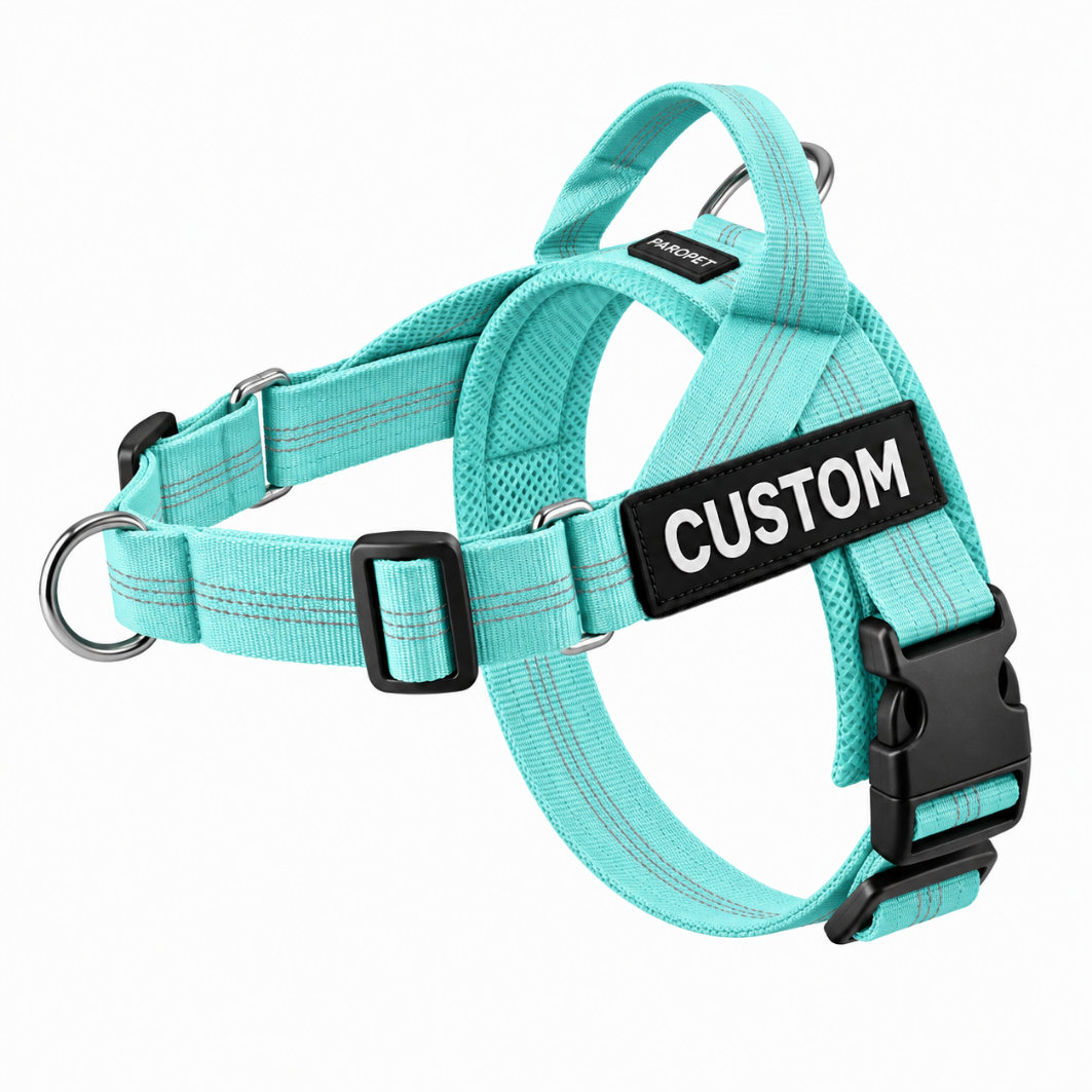 turquoisegreenharness