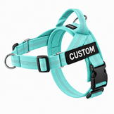 turquoisegreenharness