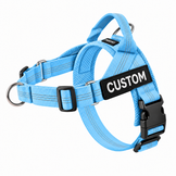skyblueharness