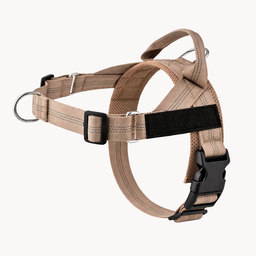 Beige Harness