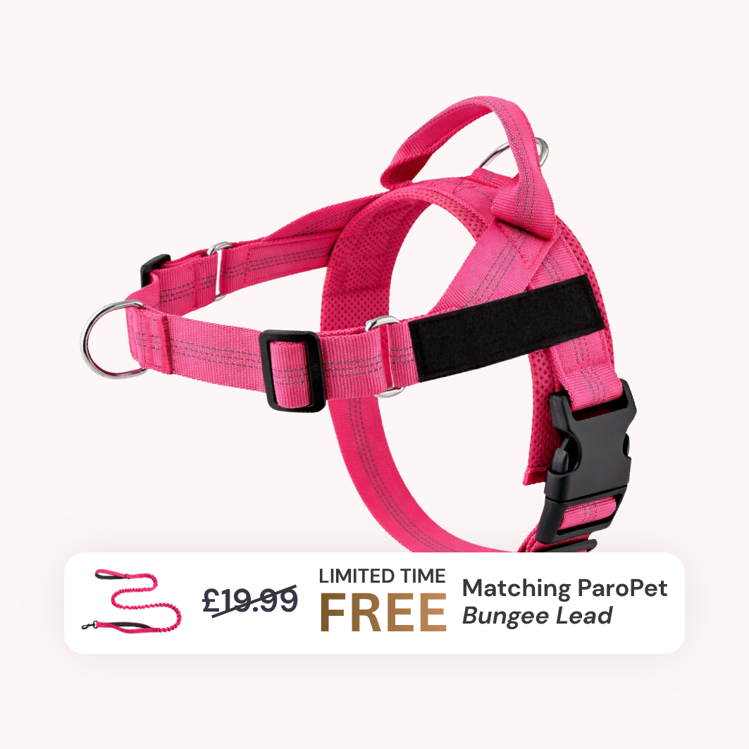 Extra No-Pull Harness