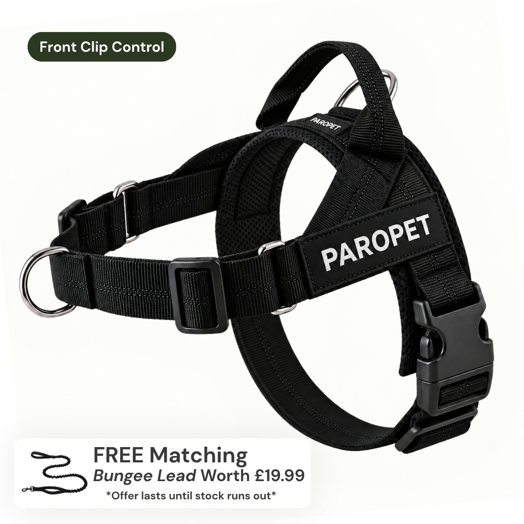 ParoPet No Pull Dog Harness