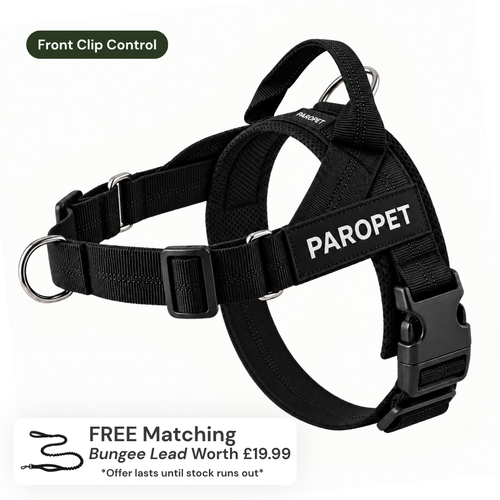 ParoPet No-Pull Dog Harness