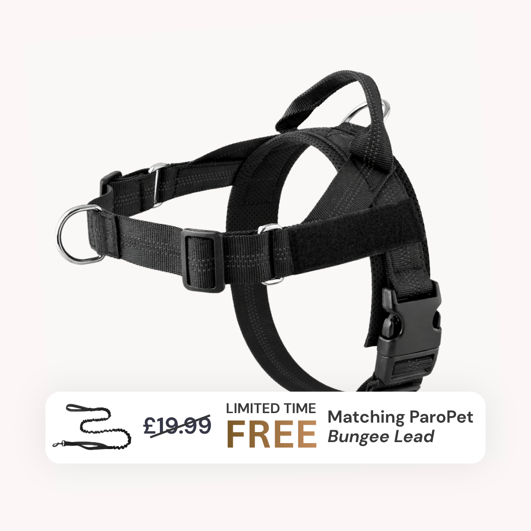 Extra No-Pull Harness