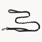 🎁 FREE ParoPet Bungee Lead