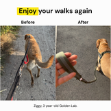ParoPet No Pull Dog Harness