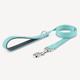 Turquoise Classic Lead