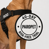 ParoPet No Pull Dog Harness