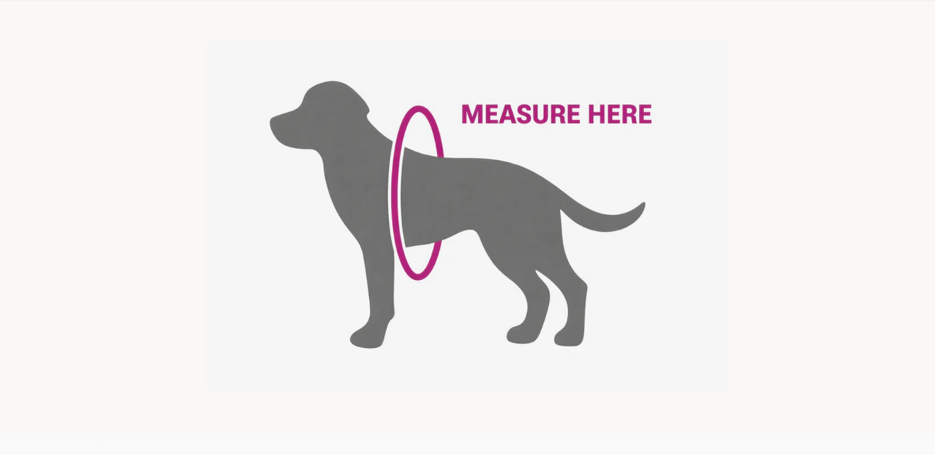 Measure your dog's chest just behind the front legs