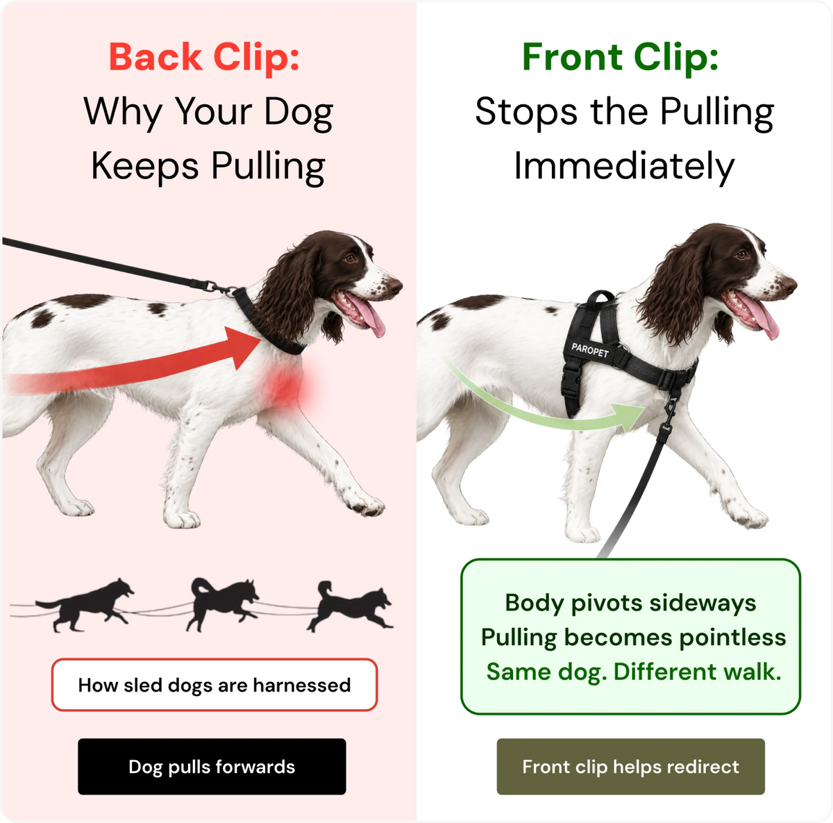 When They Pull Forward, the Front Clip Helps Turn Them Back Toward You