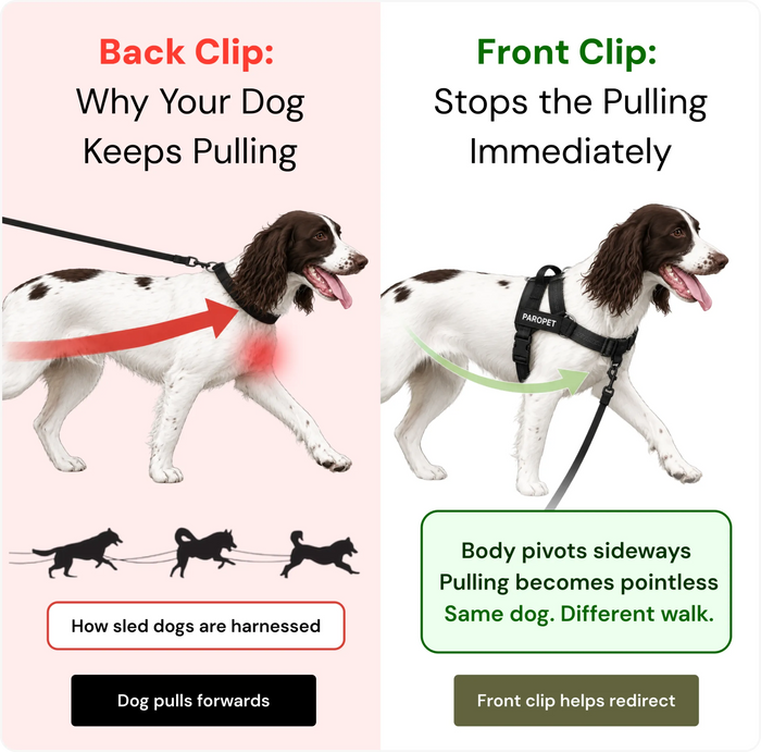 When They Pull Forward, the Front Clip Helps Turn Them Back Toward You