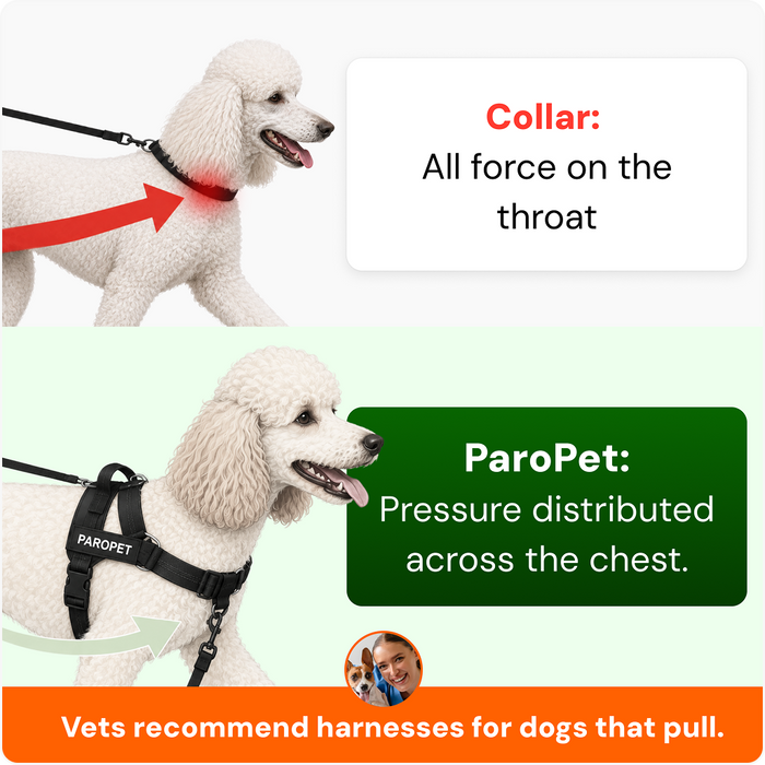 Collar puts all force on the throat; ParoPet distributes pressure across the chest