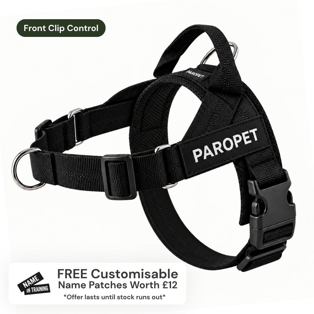 ParoPet No-Pull Dog Harness
