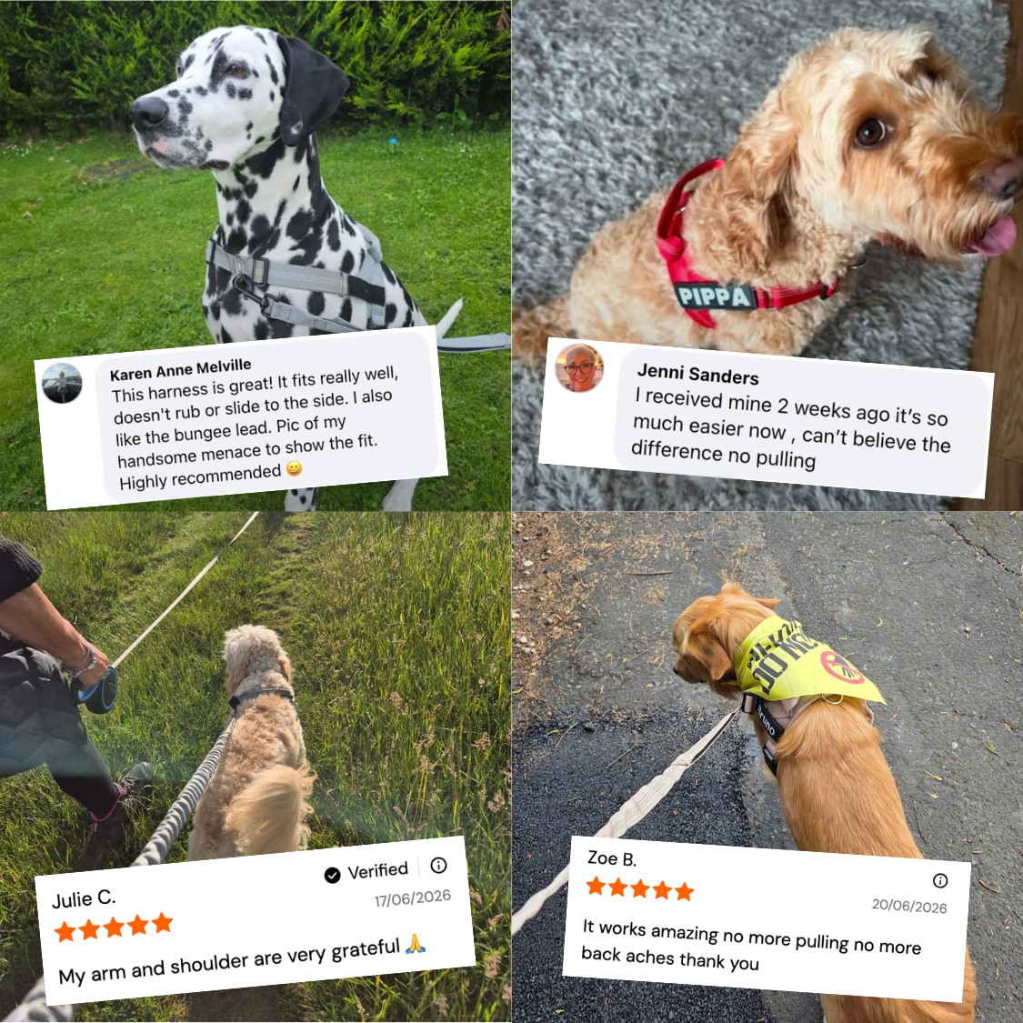 ParoPet No Pull Dog Harness