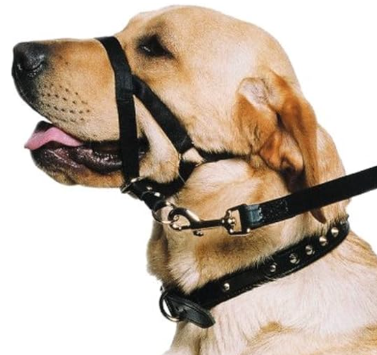 Nose Harness