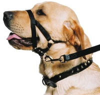 Nose Harness