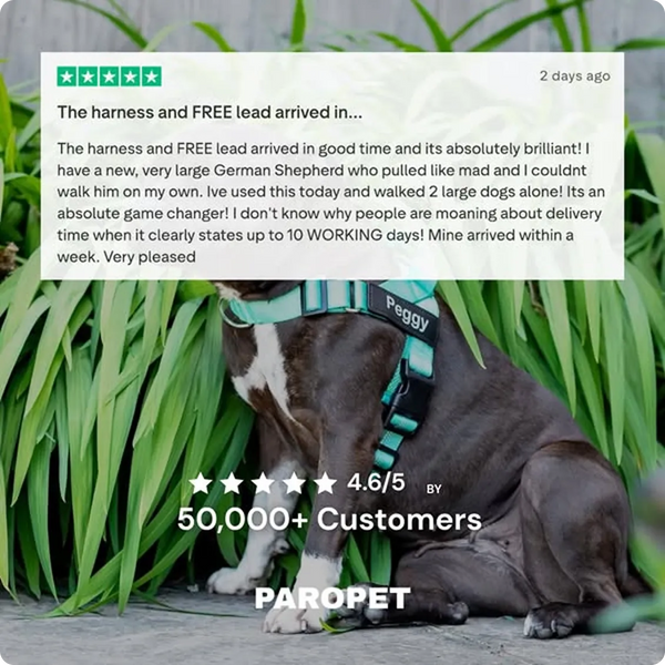 Trustpilot review