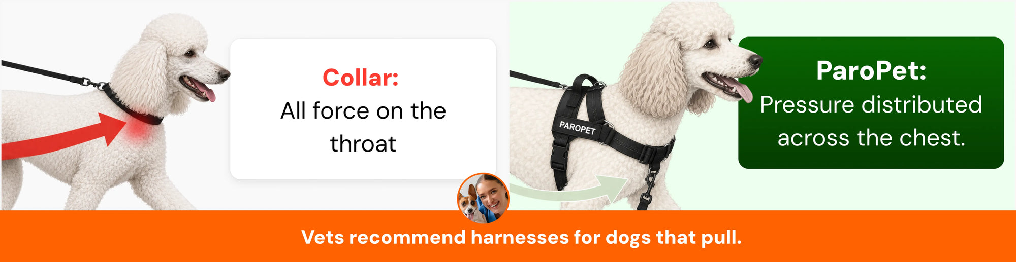 Collar puts all force on the throat; ParoPet distributes pressure across the chest